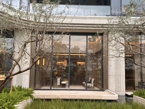 Puertas de Entrada Plegables Minimalistas con Marco Ultra Delgado y Vidrio Templado de Vista Completa para Tiendas de Marca en Asia - Product Image 6