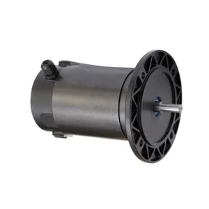 Chinese shop online 48v 180w 1500 rpm axial gap dc brushed motor for Electric Bicycle