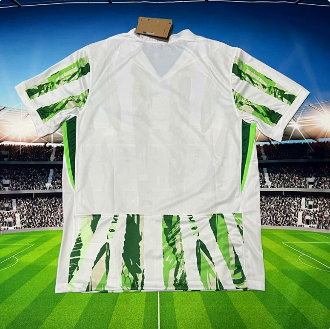 2025 Nigeria Jersey Custom Soccer Jersey Men