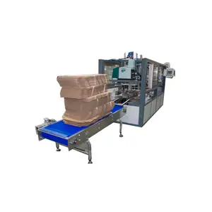 Automatic Case Packer Carton Packing Machine for Beverage bottles and cans