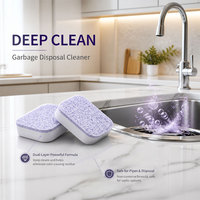 Tablettes Moussantes Désodorisantes et Nettoyantes Efficaces pour Broyeurs de Déchets et Canalisations, Écologiques, Marque Privée Personnalisée Totclean