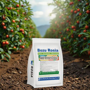 Poudre d'extrait d'algues enrichie en acide humique biostimulant d'algues organiques solubles dans l'eau pour la croissance des plantes Agriculture <span class=keywords><strong>Engrais</strong></span> du sol - Product Image 5