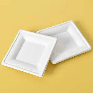 Disposable Plates Set Dish Set Dinner Dinnerware Square 10 Inch Plates Bagasse Snack Plate Disposable Bulk