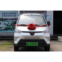 Camionnette électrique chinoise Wuling LHD 300 km, camionnette électrique chinoise, mini-fourgonnette radar, fourgonnette à conduite à droite