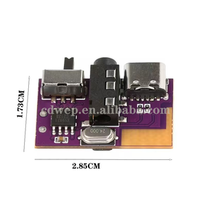 Mono Amplifier Audio DC3.5V untuk 5V 5W Mini blue tooth Amplifier Decoding papan mendukung TWS koneksi ganda dan antarmuka TYPE-C - Product Image 2