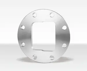 ASME ANSI Stainless Steel Flange Special shaped Customized Bored Vacuum Flange