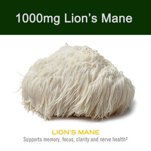 Melena De León Suplemento de hongos Gomitas para la inmunidad humana Soporte de enfoque cerebral Suplemento dietético Cerebro natural Gummy con melena - Product Image 6