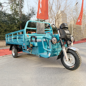 Triciclo Eléctrico de Carga de Alto Rendimiento, Scooter Eléctrico de 1000w, Motocicleta de 3 Ruedas, Triciclos Eléctricos - Product Image 2