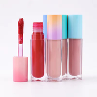 Gloss à lèvres volumateur hydratant TY Best Sell en gros, gloss à lèvres liquide à label privé, végan, haute pigmentation, gloss à lèvres volumateur