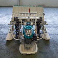Machine à repiquer le riz automatique Wubota à 6 rangs, semoir et repiqueuse, type marche, repiqueuse à 6 rangs
