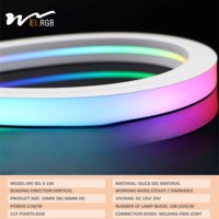 Guirlandes lumineuses LED néon irisées 12V 24V pour intérieur, éclairage programmable pour escaliers, barre flexible à défilement, contrôle par application, IP66