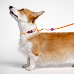 OEM tali kekang latihan anjing besar Medium kustom tali leher anjing antilicin tali pengikat nilon empuk mewah tali timbal selip fungsional - Product Image 5