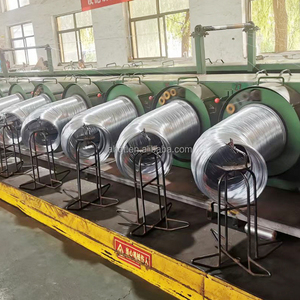 カスタマイズ可能なQ195高炭素缶詰鋼ワイヤーロッド2mm熱圧延亜鉛メッキタイワイヤーフラットワイヤー曲げ溶接用 - Product Image 6