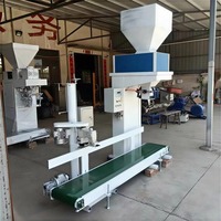 Machine d'emballage à trémie unique - Pesage et emballage automatiques quantitatifs pour emballages alimentaires en plastique/papier - Haute précision