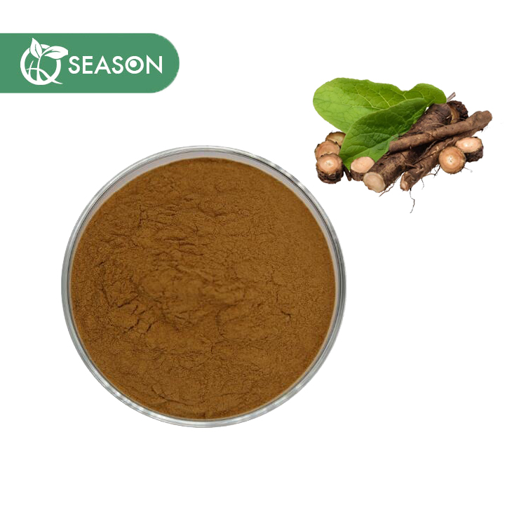 Available Stock Burdock Root Extract Burdock Root Tea