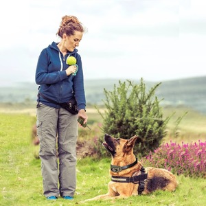 <span class=keywords><strong>Collar</strong></span> de Adiestramiento para Perros Eléctrico de 1000m con Control Remoto, <span class=keywords><strong>Collar</strong></span> Antiladridos Recargable, Impermeable, con Vibración y Sonido - Product Image 5