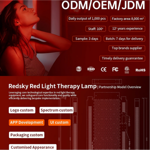 REDSKY Vente en gros Lampe de thérapie à corps entier 660nm 850nm Appareil de thérapie par lumière rouge infrarouge LED pour la salle de sport et la beauté - Product Image 6