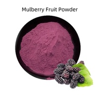Natuurlijk moerbeienpoeder, zwart moerbeienfruitpoeder, fruitsappoeder, drankingrediënt, groothandel