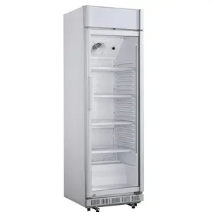도매 가격 전시 냉장고 상업적인 단 하나 유리제 문 판매를 위한 작은 강직한 냉각기 진열장 냉장고