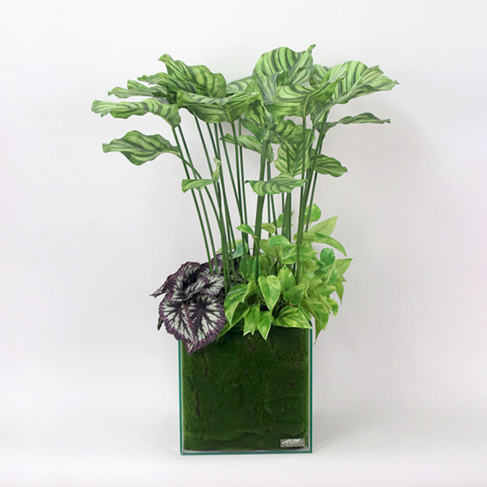 Vol.1สีเขียวดีไซน์เทียม