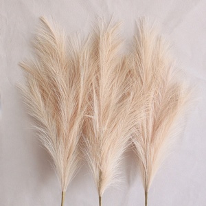 Herbe de la Pampa Artificielle Longue Décorative, Plumes de Pampa pour la Maison et les Mariages, Grandes Arrangements de Pampa en Gros - Product Image 4