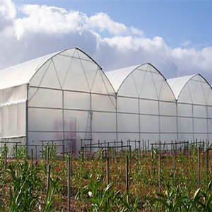 صوبة زراعية متعددة الأنماط - Product Image 1