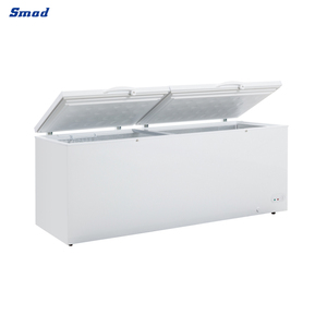 Réfrigérateur Commercial crème glacée grand congélateur profond congélateur à Double porte congélateur de poitrine - Product Image 4