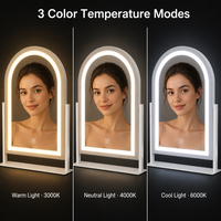 Miroir de Maquillage Lumineux Incurvé avec Haut-parleur Bluetooth, Rechargeable sans Fil Type-C, Tactile et Dimmable, pour Diffusion en Direct, OEM