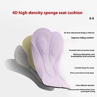 Pantalones de Ciclismo para Mujer, Tallas Grandes, con Acolchado de Gel 3D, Transpirables, de Secado Rápido, Reversibles, Resistentes al Viento, Ajustables y Personalizables, Venta al Por Mayor