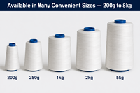 Vente directe usine – Fils de fermeture 100 % polyester haute ténacité filés à l'anneau pour sacs et sacoches tissés en PP