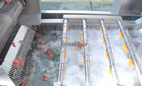 800-1200kg/uur Groente- en fruitwasserlijn Aardbei Appel Citroen Avocado Passievrucht Wasmachine Groentewaslijn