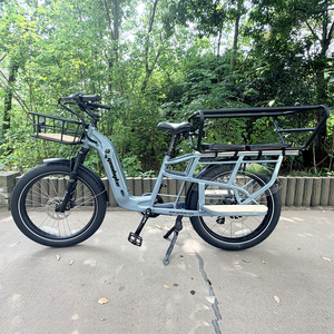 Bicicleta Eléctrica Geobyke C3 con Llantas de 24" y 3.0", 55 km de Autonomía, Cuadro de Aluminio, <span class=keywords><strong>Desviador</strong></span> de 7 Velocidades, Freno Hidráulico, Motor sin Escobillas, Batería de Litio de 48V 15AH - Product Image 1