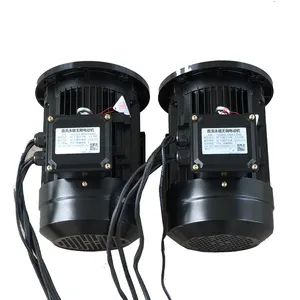 Motores BLDC 1.8KW 2kw 3kw 5kw sin escobillas 48V para fresadora