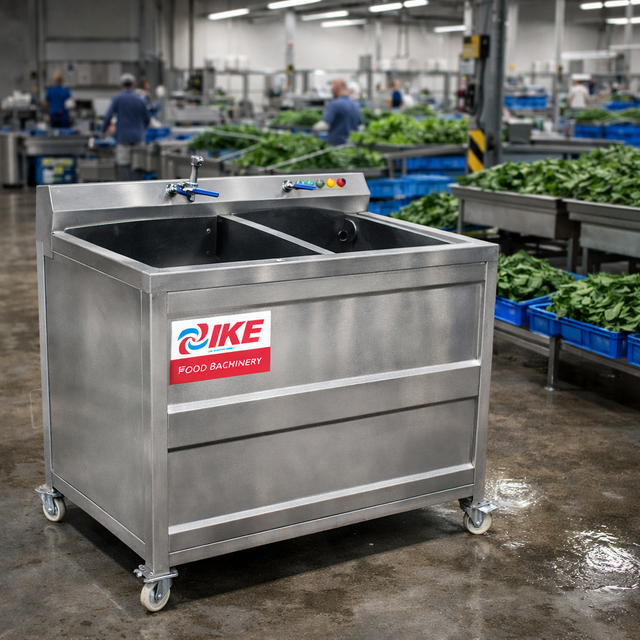 Commercial Ozone Air Bubble Fruit & Vegetable Washing Machine with Motor for Vegetable Processing Plant