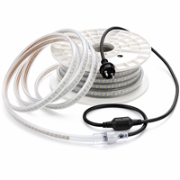 Bande lumineuse LED phosphorescente pour éclairage d'urgence, visibilité et sécurité, 230V, en PVC fluorescent haute tension