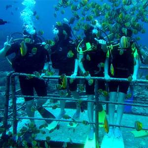 PULMÃO FLUTUANTE EQUIPAMENTO DE MERGULHO PORTÁVEL SCUBA EQUIPAMENTO DE MERGULHO <span class=keywords><strong>COMPRESSOR</strong></span> Mergulho Pulmões portáteis - Product Image 5