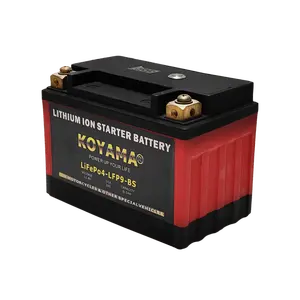 Lithium Iron Phosphate Battery 12.8v 2ah 4ah 6ah 8ah LFP9-BS Lithium Ion LiFeCo4 Batteries Lithium Motorcycle Start Battery
