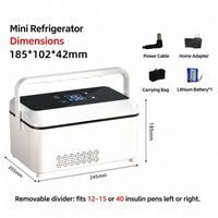 Mini-réfrigérateur de voyage portable pour flacons, étui isotherme souple pour peptides et bouteilles, avec contrôle de température, approuvé TSA