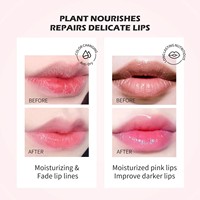 Haute Qualité Vegan Lip Blam Sans Cruauté Brillant À Lèvres 2 en 1 Maquillage Des Lèvres Or Rose Tube Fleur Magique Changement De Couleur Rouge À Lèvres