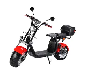 electric scooter adults 1000w electric motorbike 3 wheel electric scooter citycoco 2000w electric motorcycle eec certificate
