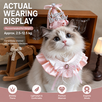 Ensemble chapeau et collier à volants pour fête d'anniversaire d'animaux de compagnie avec décoration en dentelle et nœud