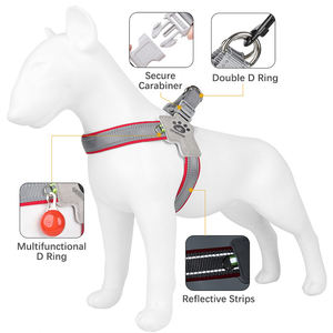 Rarewe Aksesoris Anjing Set Harnesses Model Y Nyaman Bernapas Tanpa Tarik Harnesses Pelatihan untuk Anjing Kecil dan Sedang - Product Image 5