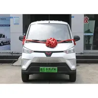 Fourgonnette électrique Wuling EV50