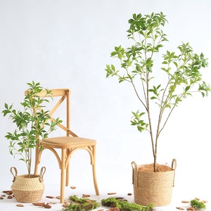 Arbre artificiel en bonsaï <span class=keywords><strong>Pieris</strong></span> <span class=keywords><strong>japonica</strong></span> de 245 cm, résistant à l'eau, grand arbre en pot pour la décoration intérieure - Product Image 2