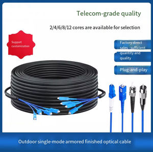 Câble <span class=keywords><strong>optique</strong></span> de télécommunication blindé fini GYXTW pour extérieur, 2 à 12 fibres, sans fusion, SC G652D, gaine PVC/LSZH/PE - Product Image 2