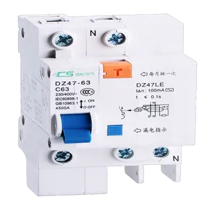 CNCSGK DZ47LE 2P/2P+N 16A 32A 63A RCCB RCBO arc fault circuit breaker rating circuit breakers