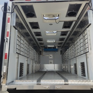 Camión Refrigerado ISUZU 4x2 de Japón para el Transporte de Pollitos Vivos - Product Image 5