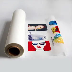 Vinyle de transfert de chaleur imprimé et coupé en PVC PU à solvant écologique pour vêtements