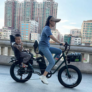 Vélo <span class=keywords><strong>cargo</strong></span> à longue queue, 48V, 500W, autonomie longue portée de 20Ah pour deux sièges bébé, vélo électrique multifonctionnel - Product Image 2
