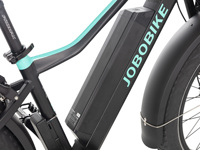 Vélo électrique tout-terrain à pneus larges, puissant moteur arrière 750W, cadre bas, batterie LG 48V20Ah, frein hydraulique, suspension intégrale, 7 vitesses